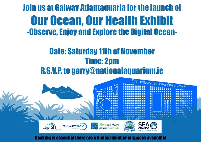 Galway Atlantaquaria Our Ocean Poster